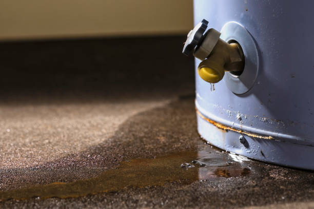 Best Sewage cleanup and water damage restoration  in Mount Vernon, IL