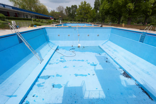 Best Carpet water damage restoration  in Mount Vernon, IL