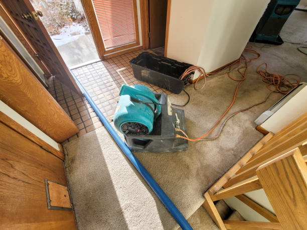 Best Ceiling water damage repair  in Mount Vernon, IL