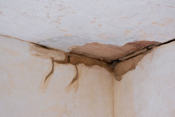 Reliable Mount Vernon, IL Water damage restoration Solutions