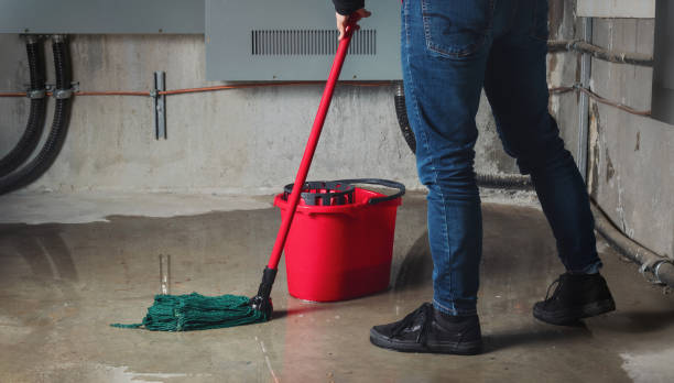 Best 24-hour water damage restoration  in Mount Vernon, IL