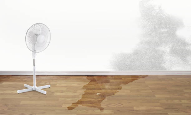 Water damage restoration mold remediation in Mount Vernon, IL