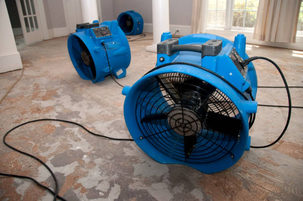 Best 24/7 water damage repair  in Mount Vernon, IL