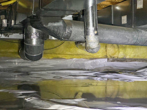 Trusted Mount Vernon, IL Water damage restoration Experts