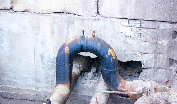 Best Local water damage restoration  in Mount Vernon, IL