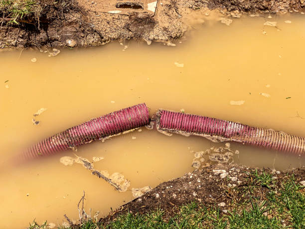 Best Emergency water damage restoration  in Mount Vernon, IL