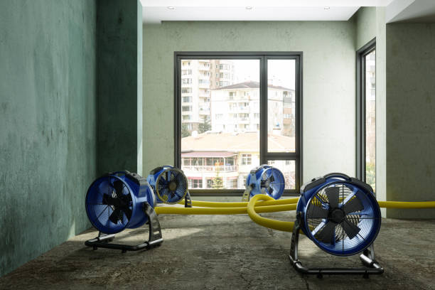 Best Water damage restoration company  in Mount Vernon, IL