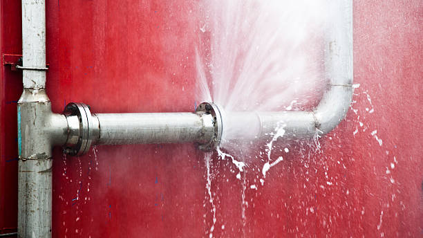 Best Flood damage cleanup  in Mount Vernon, IL